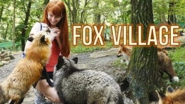 Tempat di Jepang Ini Binatang Lebih Banyak Daripada Manusia