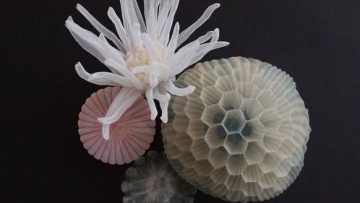 Seniman Jepang Ciptakan Hiasan Bertema Laut Dari Kain Tembus Pandang (5)