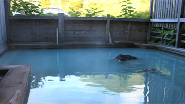 Goshiki Onsen Jepang copy