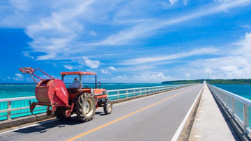 Jembatan di Okinawa Jembatan di Okinawa