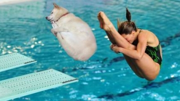 Kocak! Meme Anjing Tidur Dengan Pose Unik Jadi Viral di Jepang! (4)