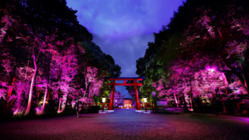 Permainan Cahaya Indah Hiasi Hutan Purba Kyoto 0