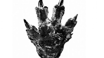 Wah, Ada Tapak Kaki Godzilla di Hokkaido!2