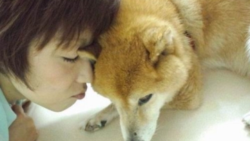 Wah, Di Jepang Ada Panti Jompo Untuk Anjing Peliharaan!