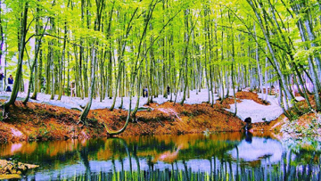 tempat wisata jepang