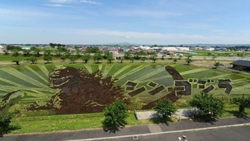 Seni Melukis Sawah Jepang Tahun Ini Bertema Samurai & Godzilla (1)