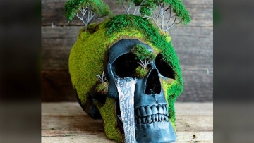 Sugoi! Bonsai Tengkorak Ini Terlihat Seram Tapi Juga Indah! (1)