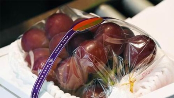 Wow! Anggur Jepang Ini Dilelang Senilai 1,1 Juta Yen!