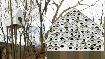 Rumah Pohon Di Jepang Ini Dibuat Untuk Burung dan Manusia