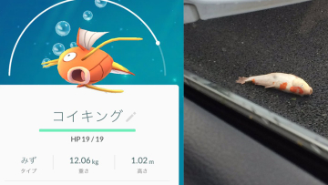 Wow! Angin Topan di Jepang Bawa Magikarp Sampai di Jalan-Jalan 0