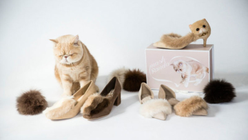 koleksi-sepatu-lucu-yang-terinspirasi-dari-kucing-populer-jepang-2