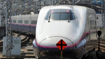 wah-ada-ular-di-dalam-kereta-shinkansen-jepang-1