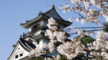 10-alasan-untuk-mengunjungi-kochi-6