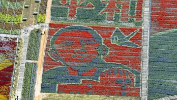 wow-taman-bunga-di-hiroshima-ciptakan-gambar-obama-dari-200-000-bunga