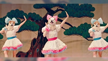 mofu-mofu-dogs-idol-group-jepang-bertema-anjing-akita