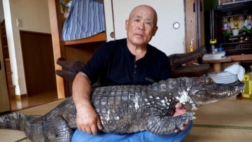 wow-pria-jepang-ini-hidup-satu-atap-dengan-buaya-peliharaannya-selama-34-tahun-1 wow-pria-jepang-ini-hidup-satu-atap-dengan-buaya-peliharaannya-selama-34-tahun-1