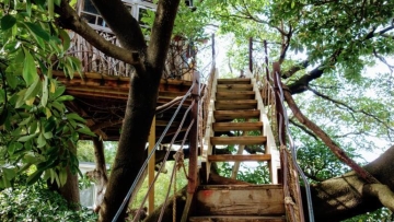 lilycrossleybaxter1 lilycrossleybaxter1