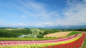 6021526977_441f7bb13b_b-1