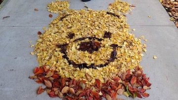 Di Jepang, Daun-daun yang Berguguran Diubah Jadi Karya Seni