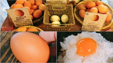 mencoba-3-rasa-unik-telur-mentah-di-kisaburo-farm-0