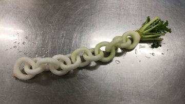 daikon-00 daikon-00