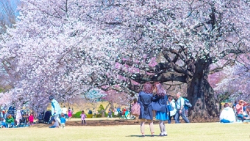 retina_pixta_19713456_S