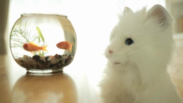 15 Mainan Jepang yang Aneh dan Seharusnya Tidak Pernah Dibuat (1)