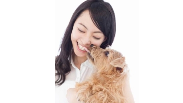 Peneliti Jepang Anjing Memiliki Rasa Moralitas Seperti Manusia (1)