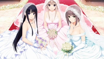 Layanan Menikah Dengan Waifu Kini Tersedia di Jepang