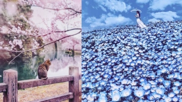 Foto-Foto Pemandangan di Jepang Yang Terlihat Seperti di Negeri Dongeng (1) Foto-Foto Pemandangan di Jepang Yang Terlihat Seperti di Negeri Dongeng (1)