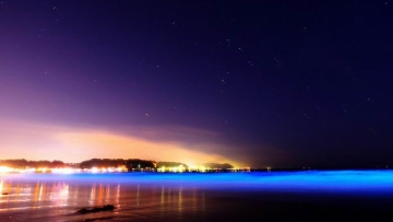 Pantai di Jepang Ini Bercahaya Menjadi Berwarna Biru di Malam Hari (2) Pantai di Jepang Ini Bercahaya Menjadi Berwarna Biru di Malam Hari (2)