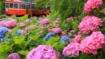 retina_imasia_18520492_S