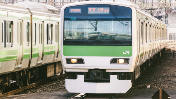 yl-1 yl-1