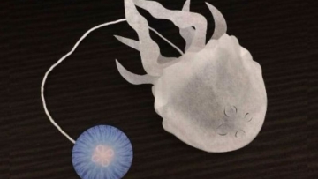 Bukan Ubur-ubur, Ini Teh Celup Dari Jepang Dengan Rasa & Warna Yang Unik (1)