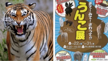 Kebun Binatang Jepang Pamerkan Kotoran Aneka Binatang Yang Bisa Diendus dan Disentuh