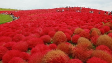 retina_pixta_14141070_S retina_pixta_14141070_S