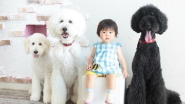 19955023_450675315294967_5677593972403339264_n