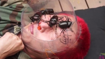 YouTuber Jepang Gunakan Wajahnya Untuk Arena Tarung Kumbang Badak