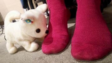 Robot Anjing Dari Jepang Ini Bisa Pingsan Jika Mengendus Kaki Yang Bau