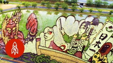 Sawah di Jepang Kembali Disulap Jadi Lukisan Indah, Kerennya Bikin Takjub! Sawah di Jepang Kembali Disulap Jadi Lukisan Indah, Kerennya Bikin Takjub!