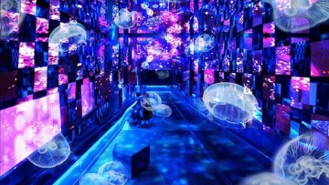 Seniman Jepang, Asami Kiyokawa, Sulap Sumida Aquarium Menjadi Negeri Dongeng (1) Seniman Jepang, Asami Kiyokawa, Sulap Sumida Aquarium Menjadi Negeri Dongeng (1)