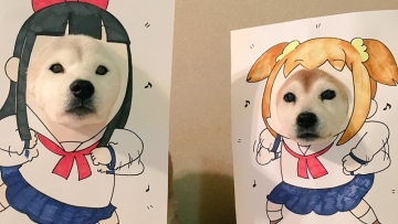 Duo Shiba Inu Kembali Berulah, Kali Ini Tampil Dengan Seragam Sekolah & Menjadi Valak