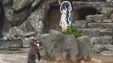 Grape-kun, Pengiun Yang Jatu Cinta Pada Halulu Meninggal Dunia
