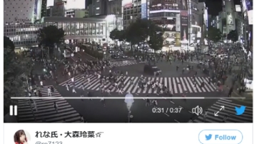 Pria Yang Menabrak Kerumunan Orang Di Persimpangan Shibuya Telah Tertangkap