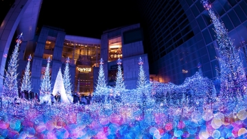 15613914377_5bc07f8093_b