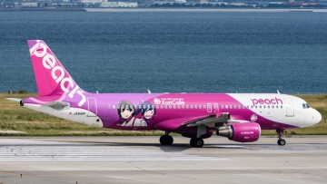 80442_1495789418 80442_1495789418