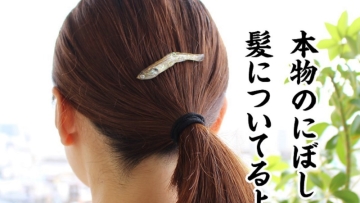 Desainer Jepang Ubah Niboshi Jadi Perhiasan Dan Aksesoris Yang Unik