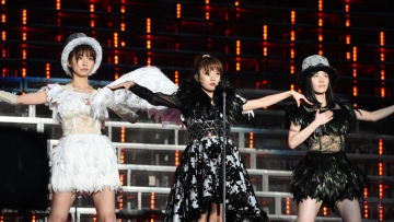 Ilustrator Jepang Gambar Perbedaan Merpati Dari 3 Lokasi Di Tokyo