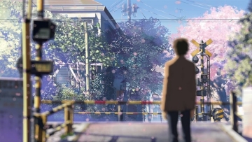 5 centimeters per second