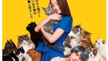 Trailer Film Neko wa Daku Mono Yang Dibintangi Erika Sawajiri Telah Dirilis Trailer Film Neko wa Daku Mono Yang Dibintangi Erika Sawajiri Telah Dirilis